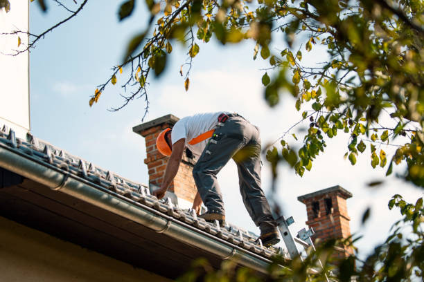 Quick and Trustworthy Emergency Roof Repair Services in Lebanon, OR